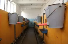 471913