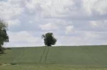 471813