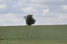 482353