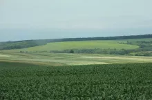 469067