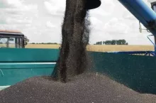 471593