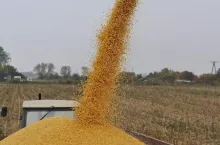 471397