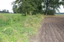 470663