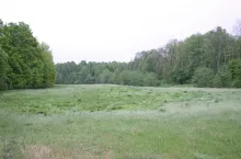 470578