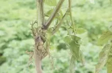 248377
