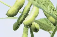 248652