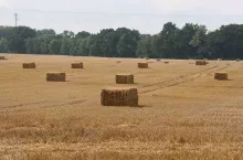 938861
