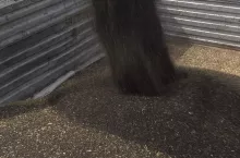 470285