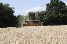 470255