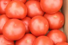 469955
