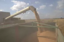 469917