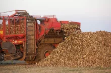 469808