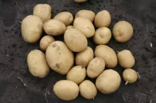 469761