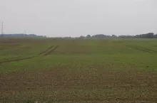 469664