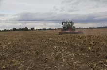 469524