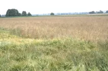 469485