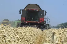 469432