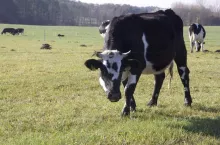 469356