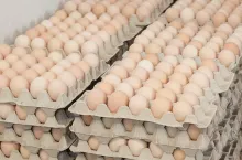 469332