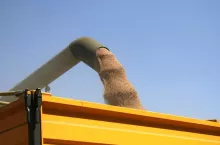 469294