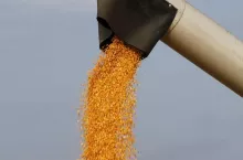 469203