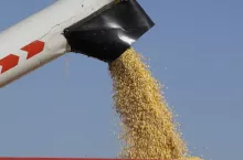 469204