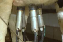 469113