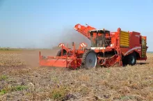 469063