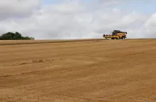 247566