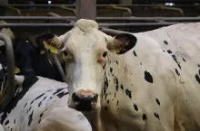 468943
