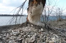 247549