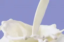 247504
