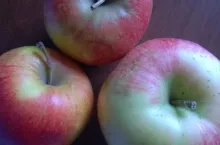 468713