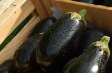 238848