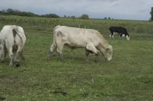 468577