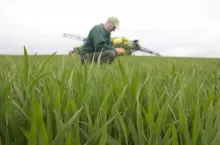 468509