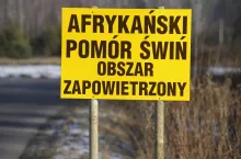 247428