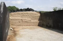 466226