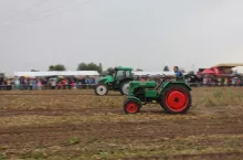 247338