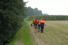 467993