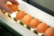 247263