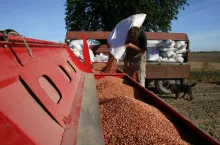 247204