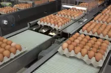 467813