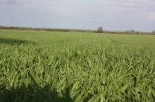 467795