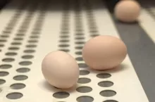 467802