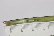 467734