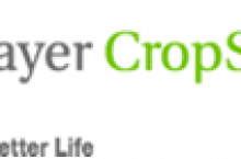 467623