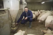 467607