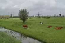 467551
