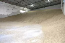 467577